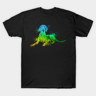 Colourful Magyar Vizsla T-Shirt